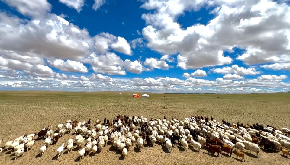 몽골 에픽 몽골리안 고비 자연 투어 4박 5일 솔직 후기 | 실사용자 리뷰 분석 - 대표 이미지