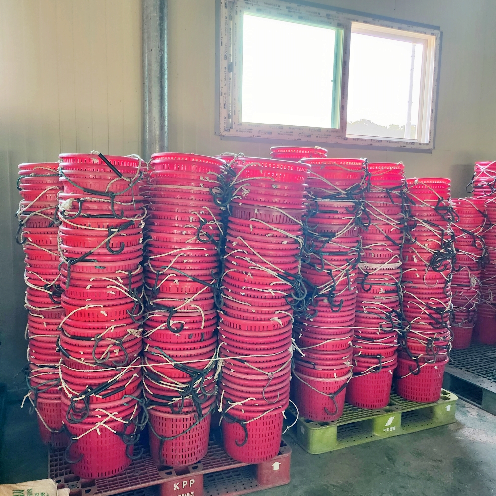 안동사과 3kg 5kg 부사 못난이사과 고당도