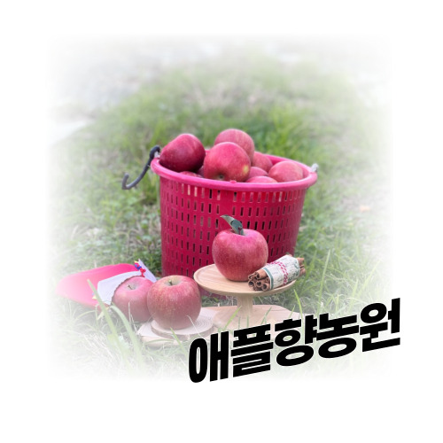 애플향농원 스토어 로고