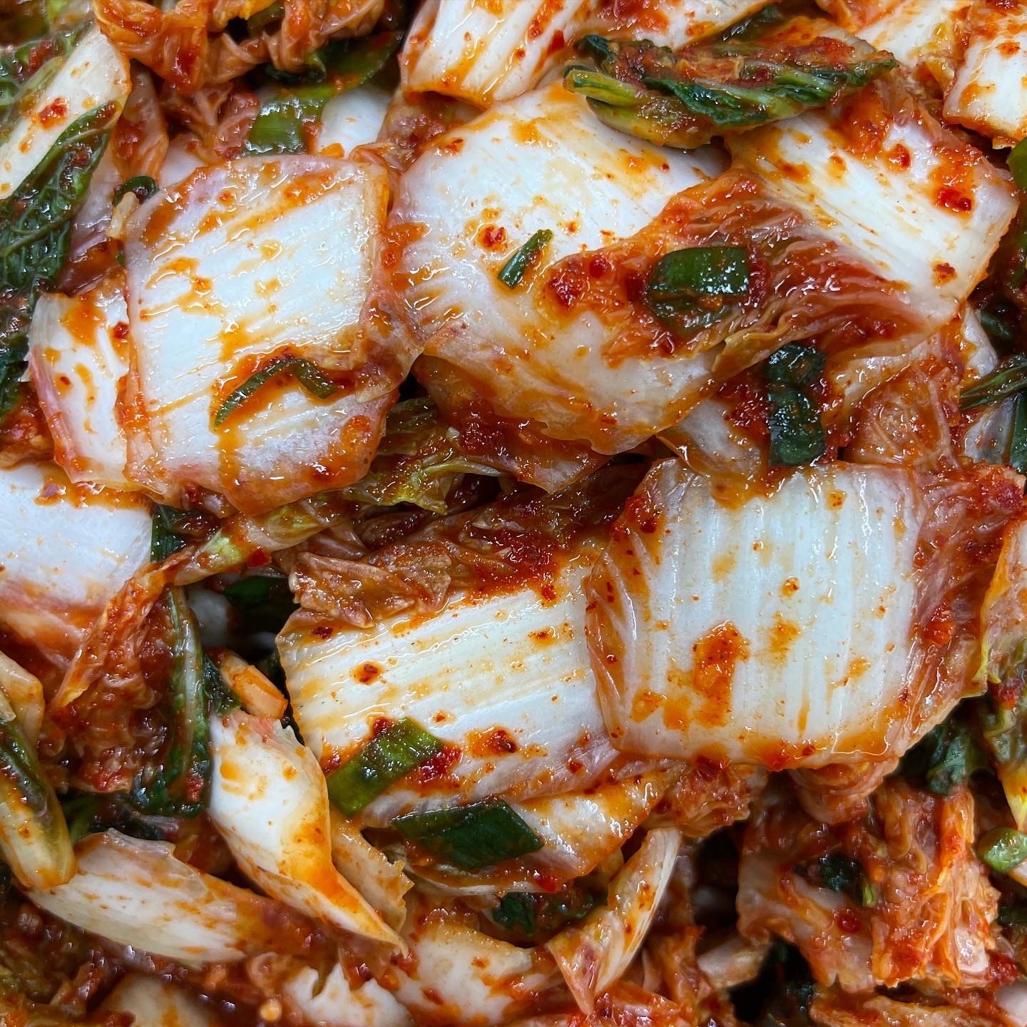 순자네김치 썰은김치 국내산 100% 당일생산 맛김치 1키로 (통) - 상세 이미지 4