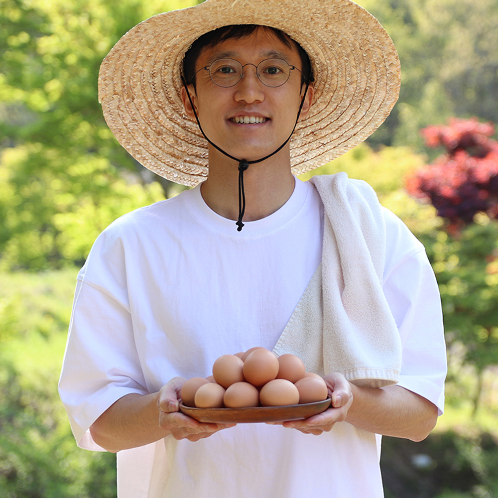 난각번호1번 계란 유정란 자연방사 동물복지 무항생제 방목 달걀 제품 이미지