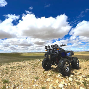 몽골 에픽 몽골리안 고비 자연 투어 4박 5일 솔직 후기 | 실사용자 리뷰 분석 - 상품 이미지 3