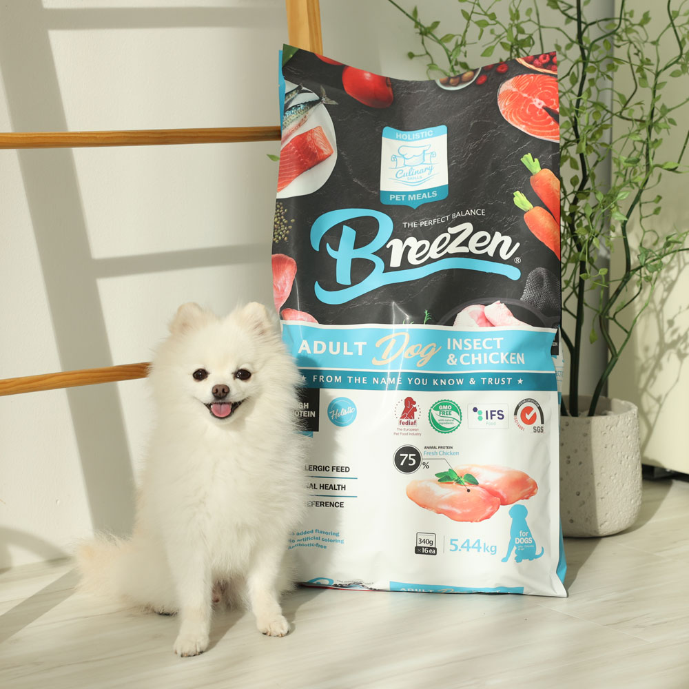 브리젠 홀리스틱 어덜트 강아지사료 인섹트 치킨, 5.44kg, 1개