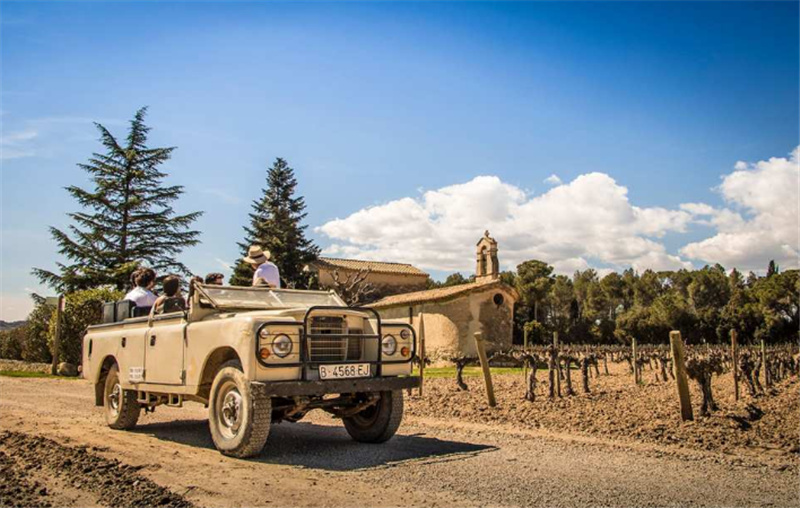 스페인 바르셀로나 교외 투어 | 와이너리 & 까바 & 4WD 포도밭 체험... 솔직 후기 | 실사용자 리뷰 분석 - 대표 이미지