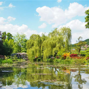 프랑스  파리 일일투어 : 클로드 모네 재단과 베르사유 궁전 (파리 출발... 솔직 후기 | 실사용자 리뷰 분석 - 상품 이미지 1