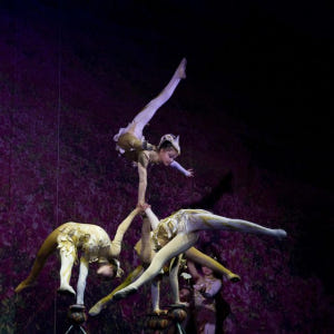 중국 베이징 환승이 포함된 써커스(Acrobatic Show) 야간 투어 솔직 후기 | 실사용자 리뷰 분석 - 상품 이미지 2