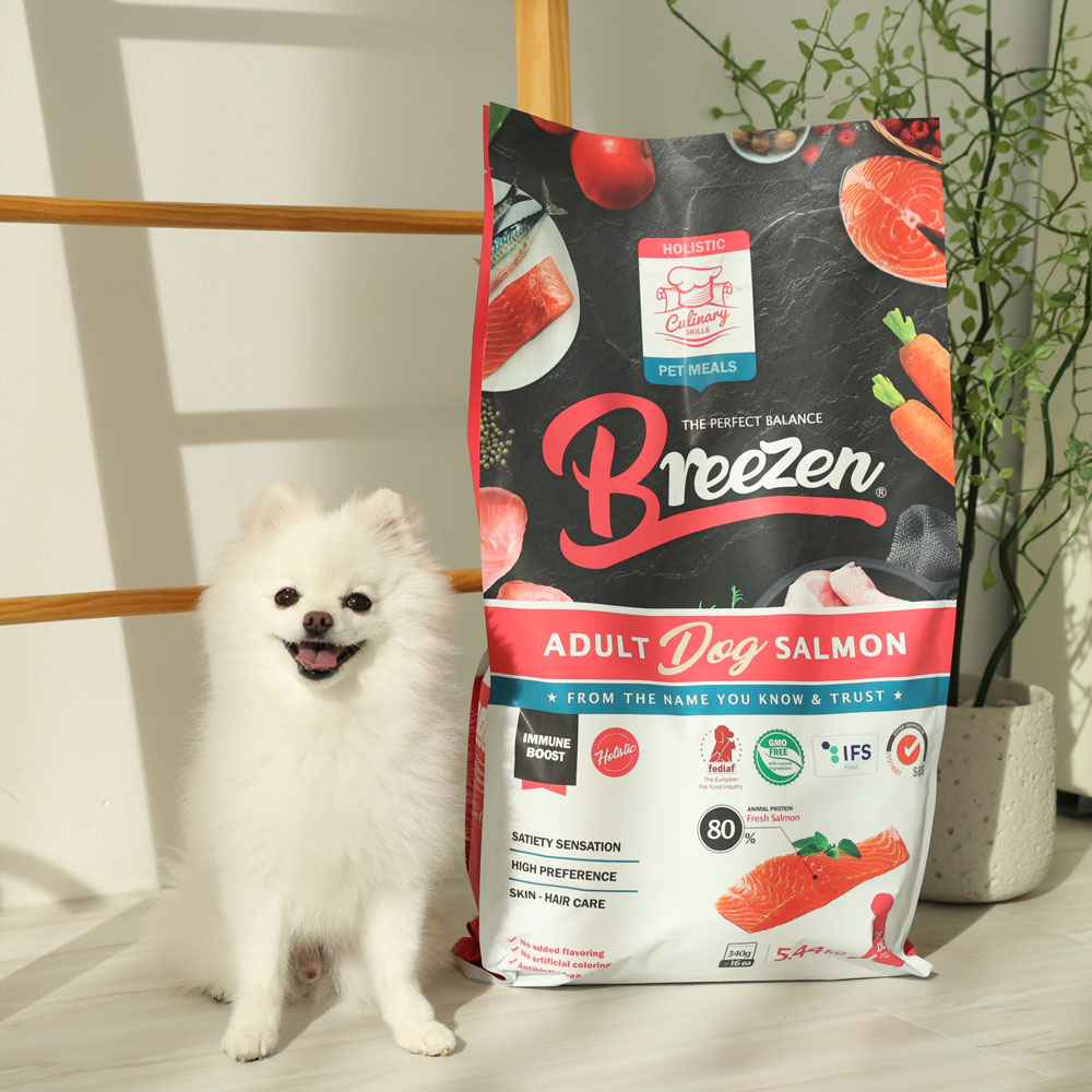 브리젠 홀리스틱 어덜트 강아지사료 연어, 5.44kg, 1개