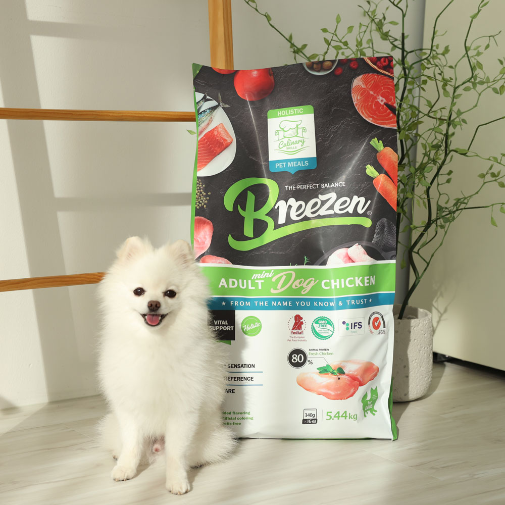 브리젠 홀리스틱 어덜트 강아지사료 치킨, 5.44kg, 1개