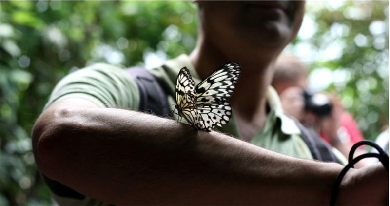 영국 ZSL 런던동물원 입장권 이미지 2