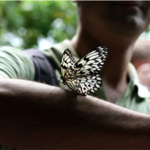 영국 ZSL 런던동물원 입장권 솔직 후기 | 실사용자 리뷰 분석 - 상품 이미지 2