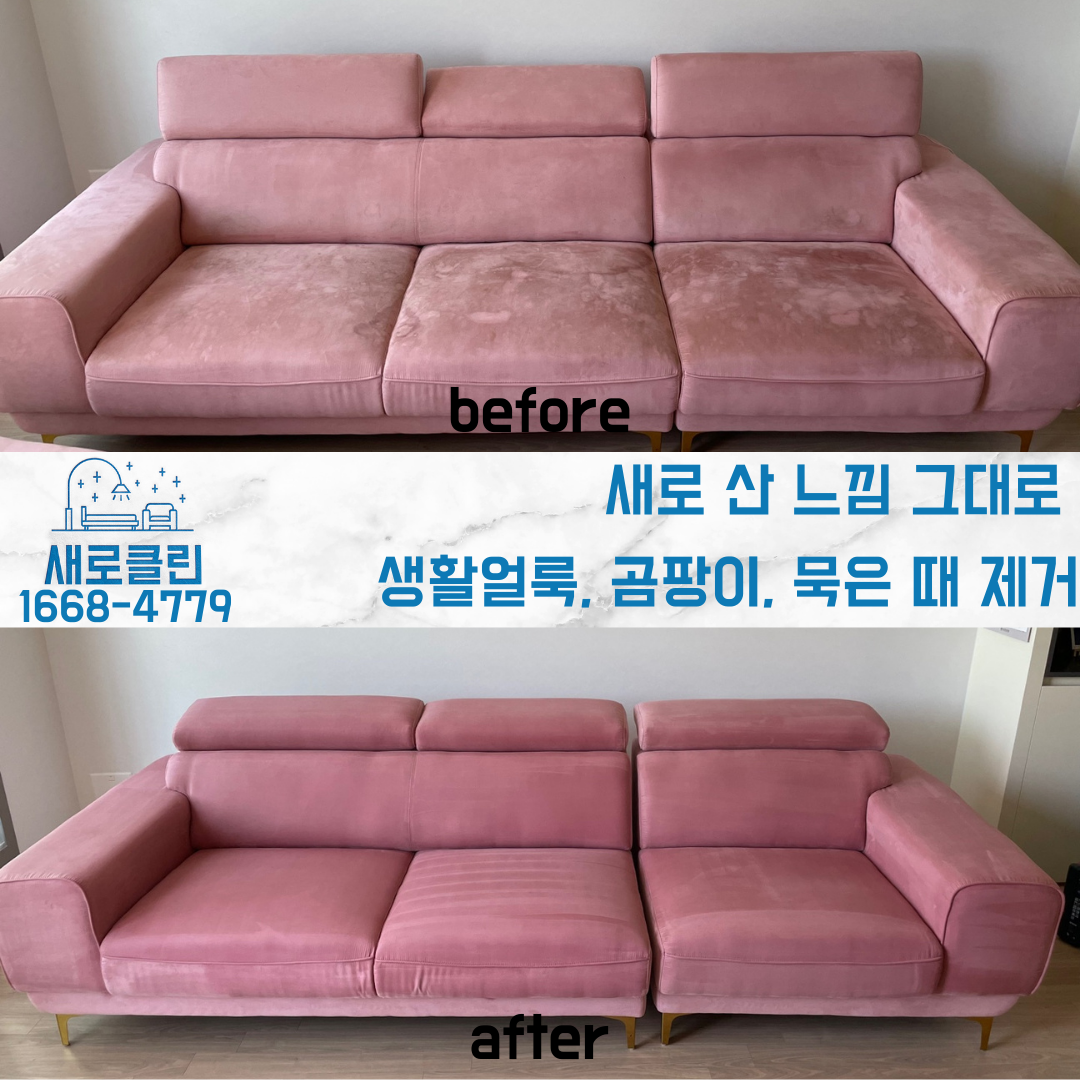 침대 매트리스 청소 건식 습식 케어 세척 세탁 빈대 진드기 얼룩제거 업체