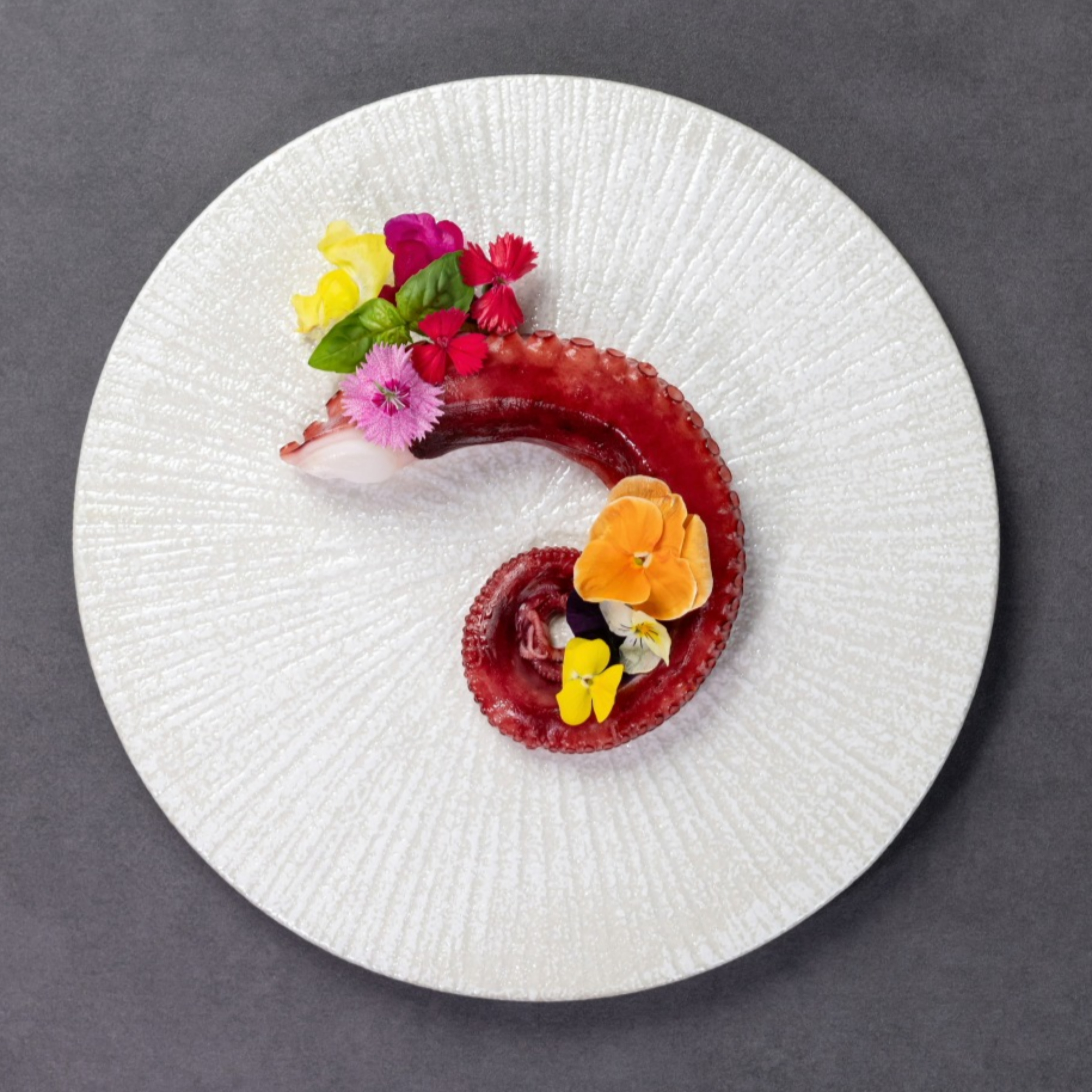 SELBY 클램펄 스테이크 화이트 접시 26cm