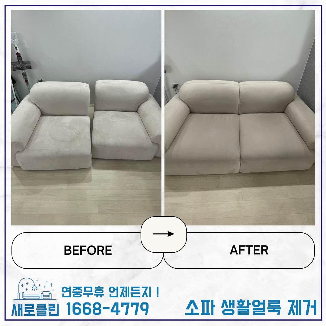 패브릭 소파 청소업체 건식 습식 케어 세탁까지 가능한 전문업체