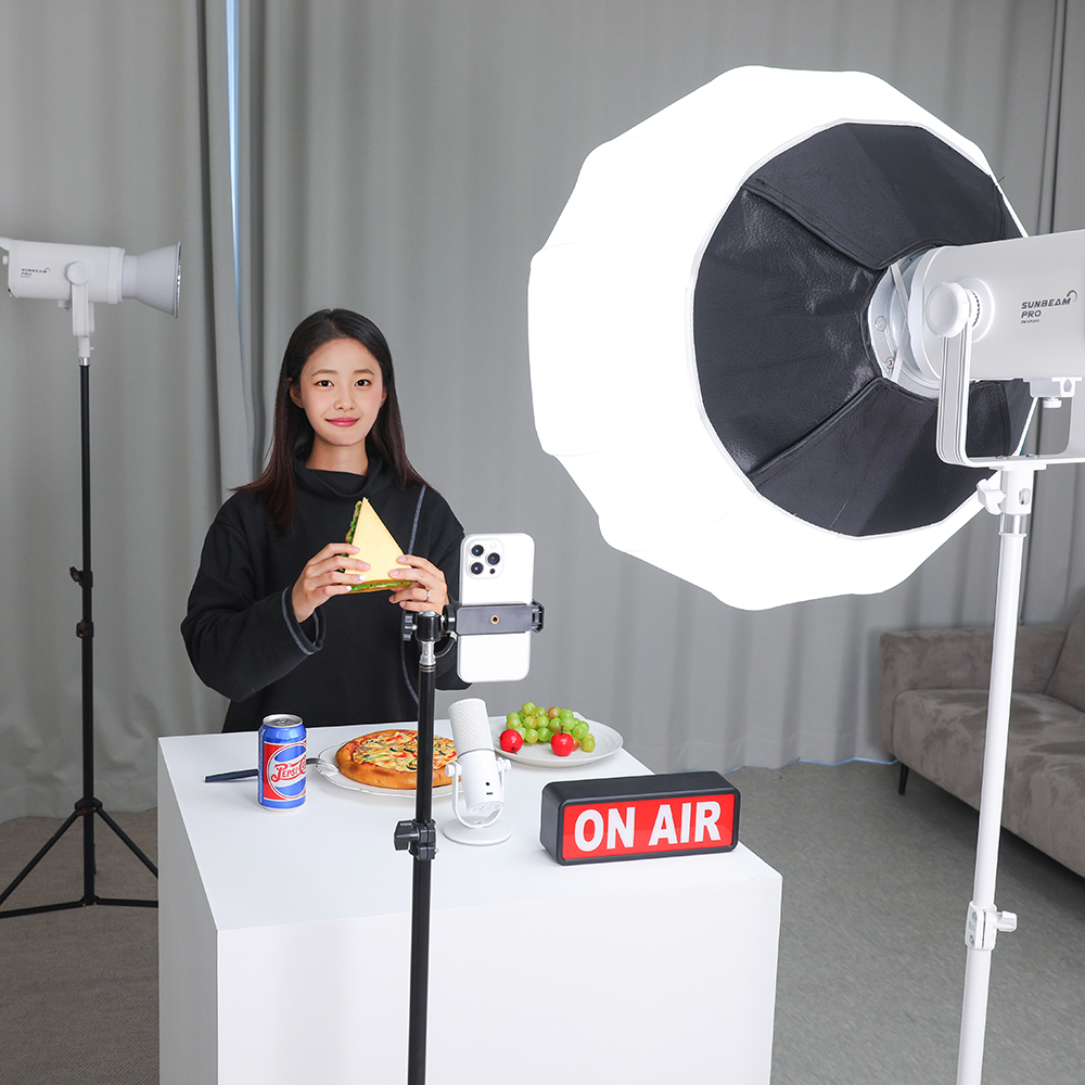 대한 DH-SP300W 자연광 촬영용 제품 사진 촬영 조명 지속광 유튜브 장비 썬빔프로 - 상세 이미지 3