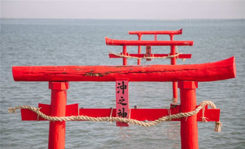 일본  특별가   사가 일일 버스 투어 - 게, 전복, 프리미엄 와규 사가 쇠고기 점심 식사 이미지 2