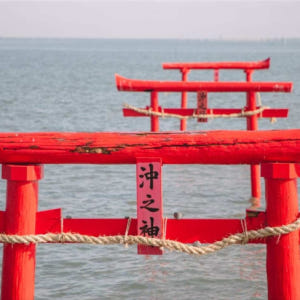 일본  특별가   사가 일일 버스 투어 - 게, 전복, 프리미엄 와규 사... 솔직 후기 | 실사용자 리뷰 분석 - 상품 이미지 2