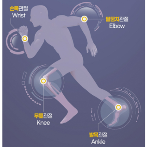 내츄럴플러스 소연골 소유래 콘드로이친 1200 관절 연골 건강 효능 효과 60정, 2개 이미지 3