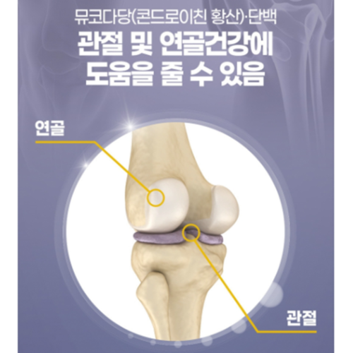 내츄럴플러스 소연골 소유래 콘드로이친 1200 관절 연골 건강 효능 효과 60정, 2개 이미지 4