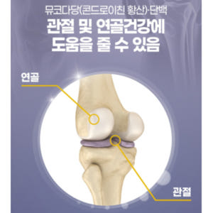 내츄럴플러스 소연골 소유래 콘드로이친 1200 관절 연골 건강 효능 효과... 맛있게 먹은 솔직 후기 - 상품 이미지 4