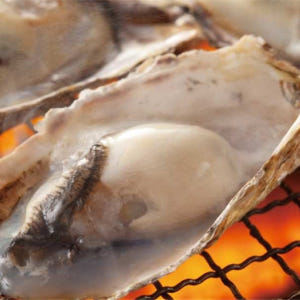 일본 후쿠오카 | 이소코점 후쿠오카 하카타 치쿠시구치점 솔직 후기 | 실사용자 리뷰 분석 - 상품 이미지 3