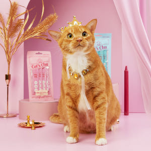 [유통기한 26.05.12] 페페로니펫 잘 먹는 캣츄 연어, 12g, 3... 솔직 후기 | 실제 사용자 리뷰 총정리 - 상품 이미지 4