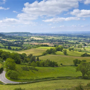 영국 런던 코츠월드 일일 투어  영국식 런치 솔직 후기 | 실사용자 리뷰 분석 - 상품 이미지 1