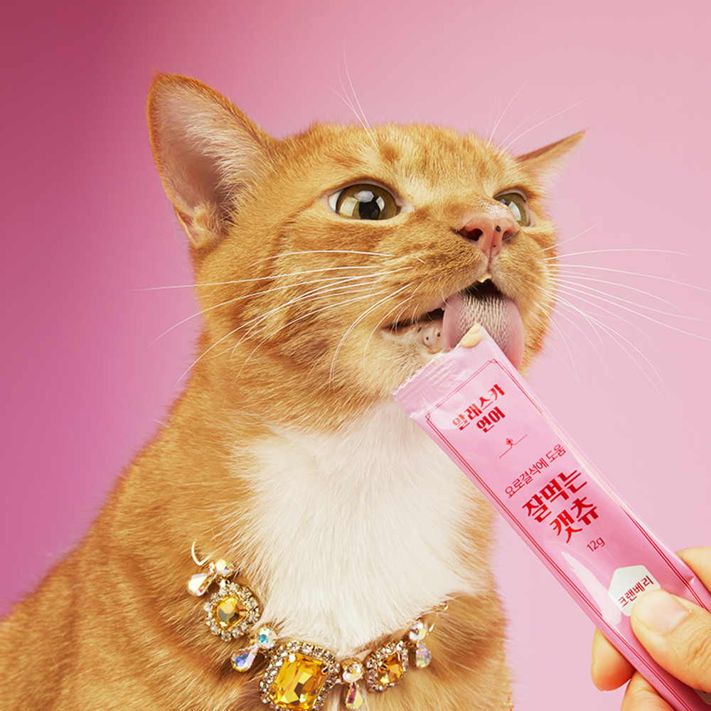 [유통기한 26.05.12] 페페로니펫 잘 먹는 캣츄 연어, 12g, 30개 이미지 3