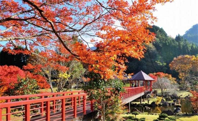 일본 규슈 2일 여행 | 야바케이 협곡 아오노도몬 터널, 팜스테이 체험 아지무, 유후인(하카타 출발) 이미지 3