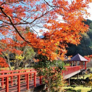일본  규슈 2일 여행 | 야바케이 협곡 아오노도몬 터널, 팜스테이 체험... 솔직 후기 | 실사용자 리뷰 분석 - 상품 이미지 3