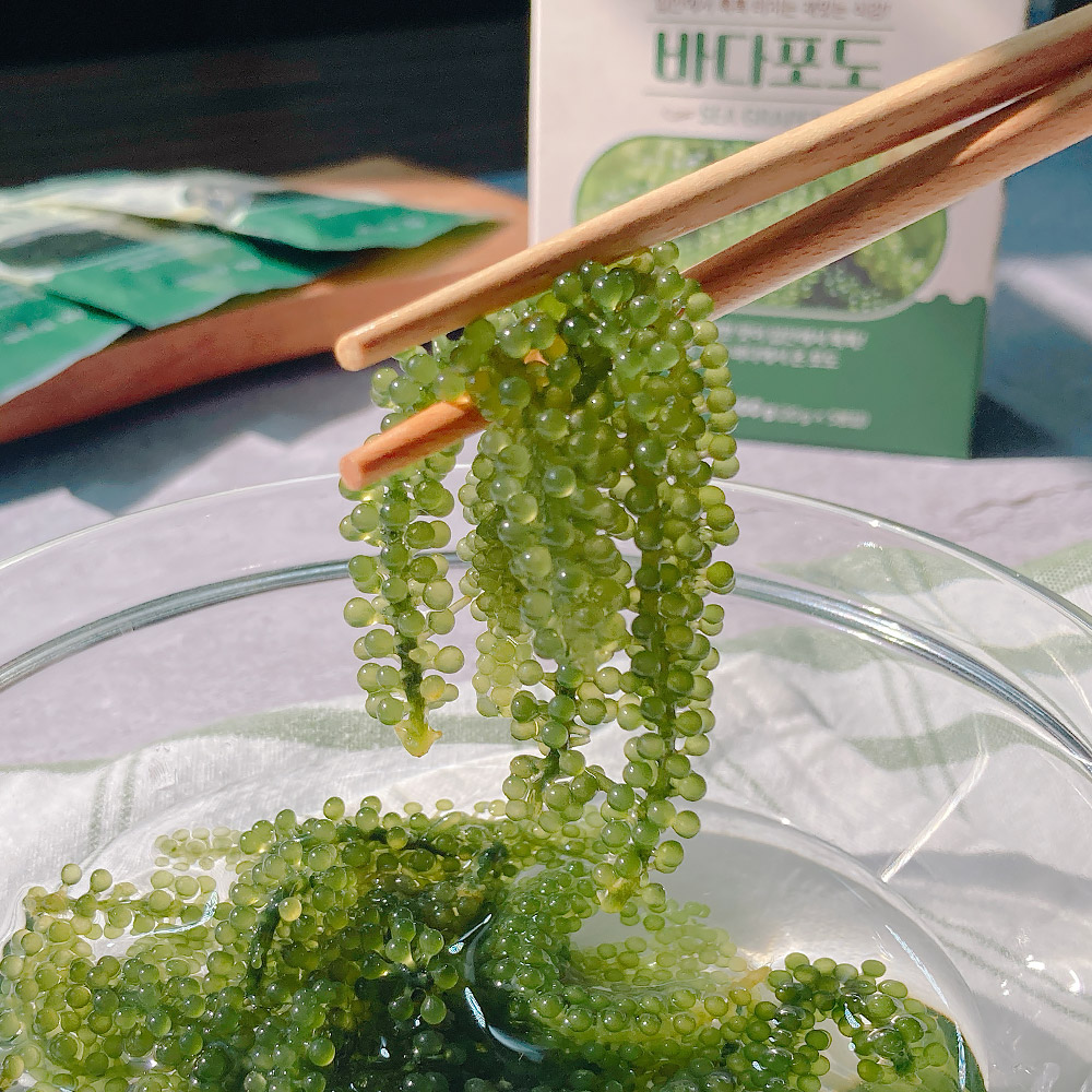 피터씨마켓 바다포도 100g(20gX5)X 3박스(300g) 우미부도 그린캐비어 ASMR