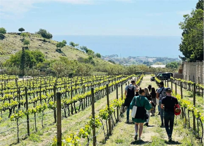 스페인 바르셀로나 | 쌍동선 항해 & 생태 와인 시음 투어 이미지 3