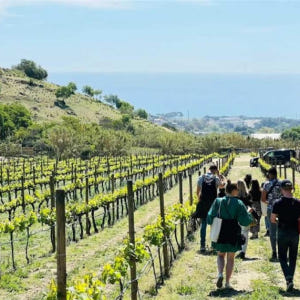 스페인 바르셀로나 | 쌍동선 항해 & 생태 와인 시음 투어 솔직 후기 | 실사용자 리뷰 분석 - 상품 이미지 3