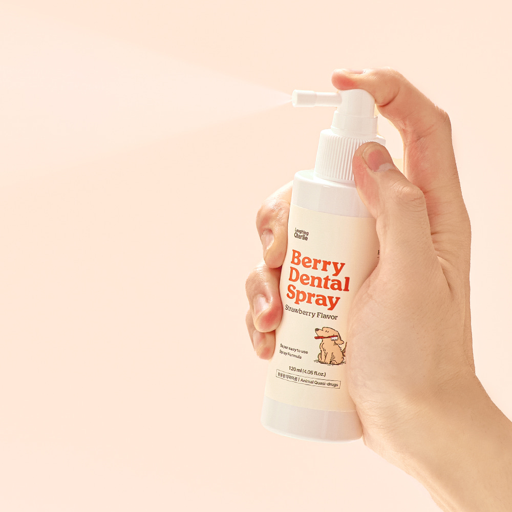 래핑찰리 강아지 구강치약 치석제거제 덴탈 스프레이 딸기향 120ml 이미지 3