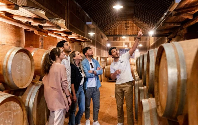 스페인 마드리드 톨레도 일일 투어 | 마드리드에서 출발하는 와인 시음과 함께 톨레도 시티 투어 & 와이너리 체험 이미지 3