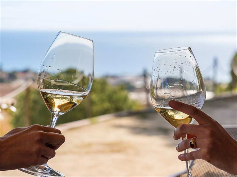 스페인 바르셀로나 | 쌍동선 항해 & 생태 와인 시음 투어 이미지 4