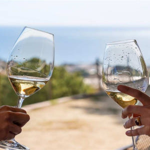 스페인 바르셀로나 | 쌍동선 항해 & 생태 와인 시음 투어 솔직 후기 | 실사용자 리뷰 분석 - 상품 이미지 4