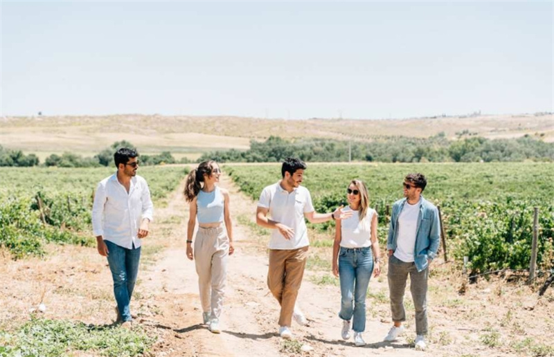 스페인 마드리드 톨레도 일일 투어 | 마드리드에서 출발하는 와인 시음과 함께 톨레도 시티 투어 & 와이너리 체험 이미지 2