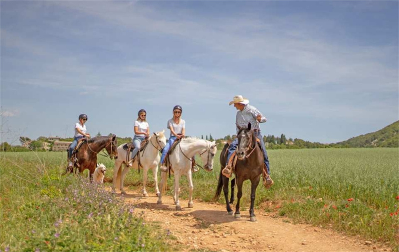 스페인 바르셀로나 반나절 투어 | 바르셀로나 출발 몬세라트 & 승마 체험 이미지 3