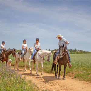 스페인 바르셀로나 반나절 투어 | 바르셀로나 출발 몬세라트 & 승마 체험 솔직 후기 | 실사용자 리뷰 분석 - 상품 이미지 3