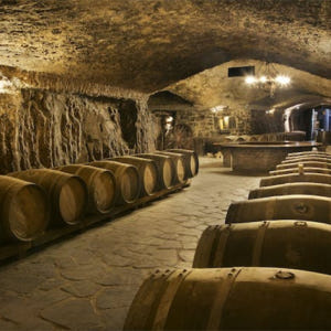 스페인 산세바스타안 라 리오하의 와인 저장고 방문 및 점심 식사 포함 시... 솔직 후기 | 실사용자 리뷰 분석 - 상품 이미지 2