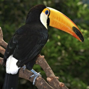 스페인 마드리드 파우니아 동물원 패스트트랙 입장권 솔직 후기 | 실사용자 리뷰 분석 - 상품 이미지 1