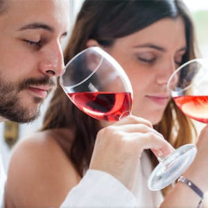 스페인 산세바스타안 라 리오하의 와인 저장고 방문 및 점심 식사 포함 시... 솔직 후기 | 실사용자 리뷰 분석 - 상품 이미지 3