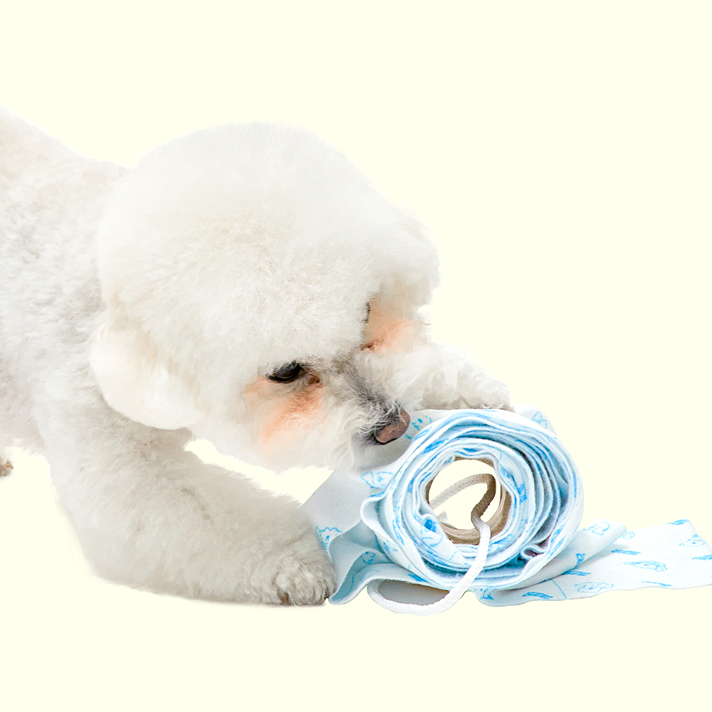 래핑찰리 강아지 노즈워크 휴지 장난감 분리불안 토일렛 페이퍼 토이