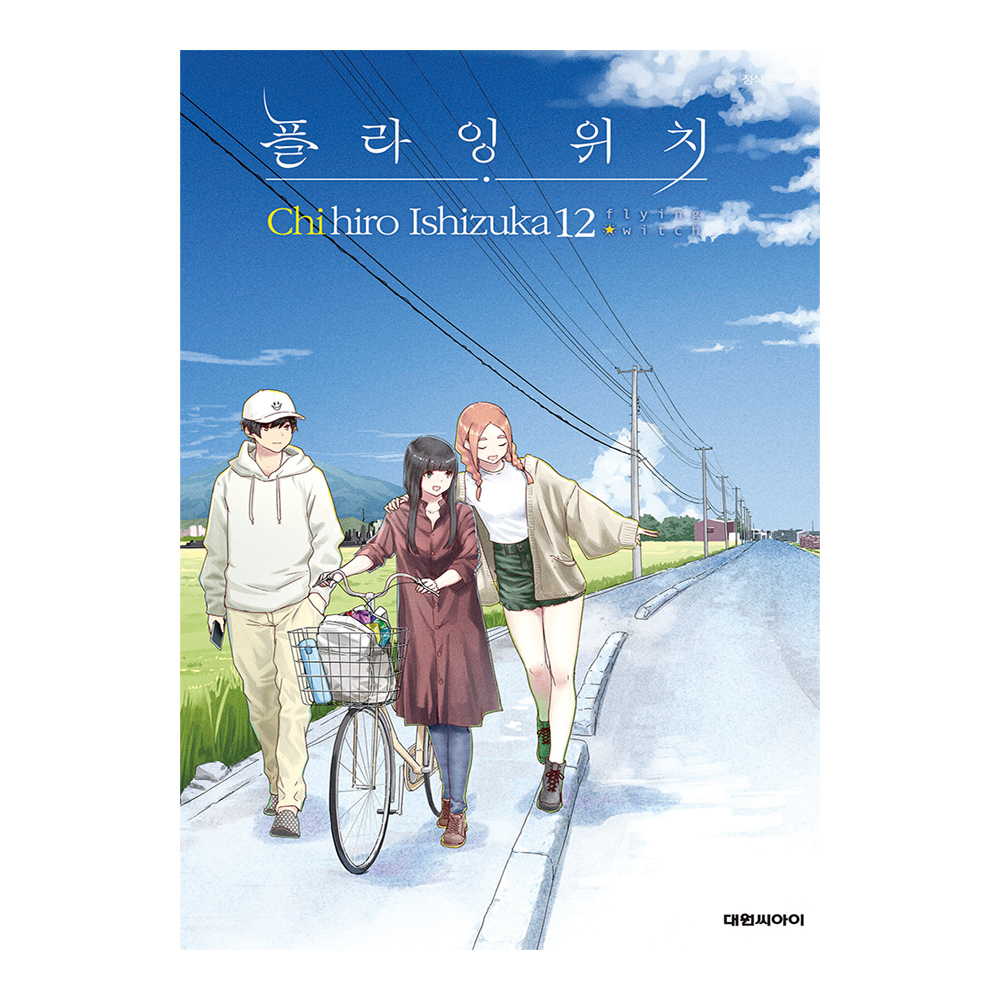 [대원씨아이] 플라잉 위치   12권 제품 이미지