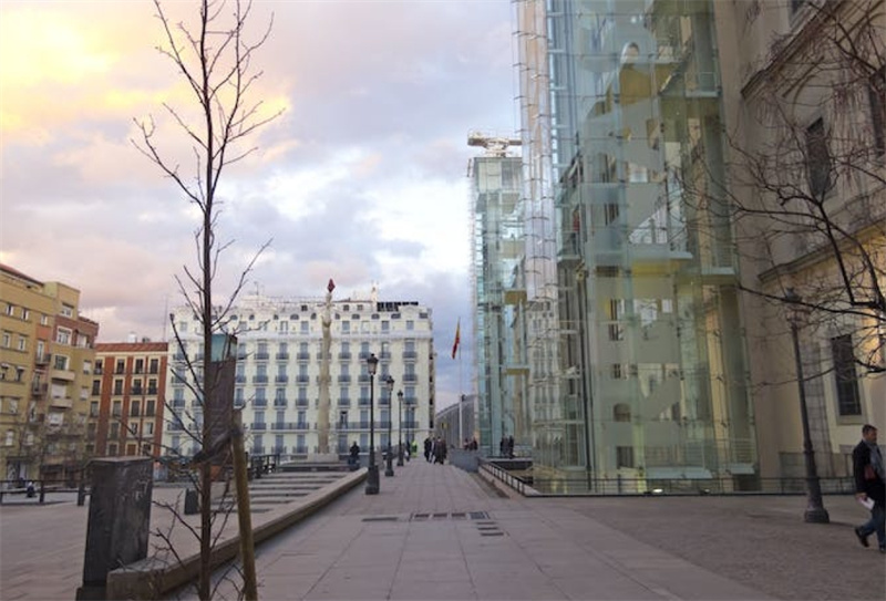 스페인 마드리드 레이나 소피아 박물관 입장권 및 가이드 방문 이미지 2