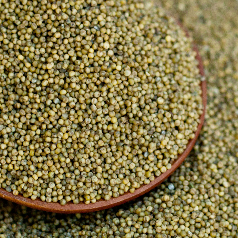 국산 청차조 무농약 친환경 차조 좁쌀 차조밥 1kg - 상세 이미지 4