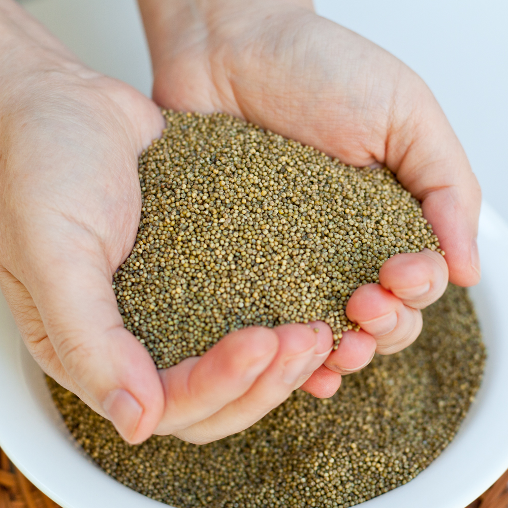 국산 청차조 무농약 친환경 차조 좁쌀 차조밥 1kg - 상세 이미지 3