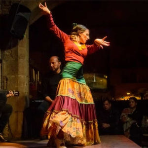 스페인 바르셀로나 El Born의 올드 타운 워킹 투어 플라멩코 쇼  타... 솔직 후기 | 실사용자 리뷰 분석 - 상품 이미지 2