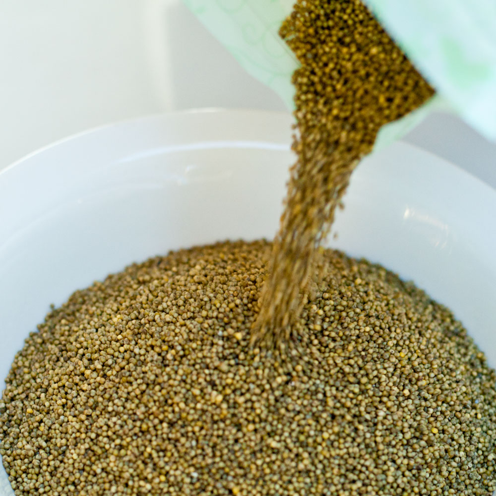 국산 청차조 무농약 친환경 차조 좁쌀 차조밥 1kg - 상세 이미지 5