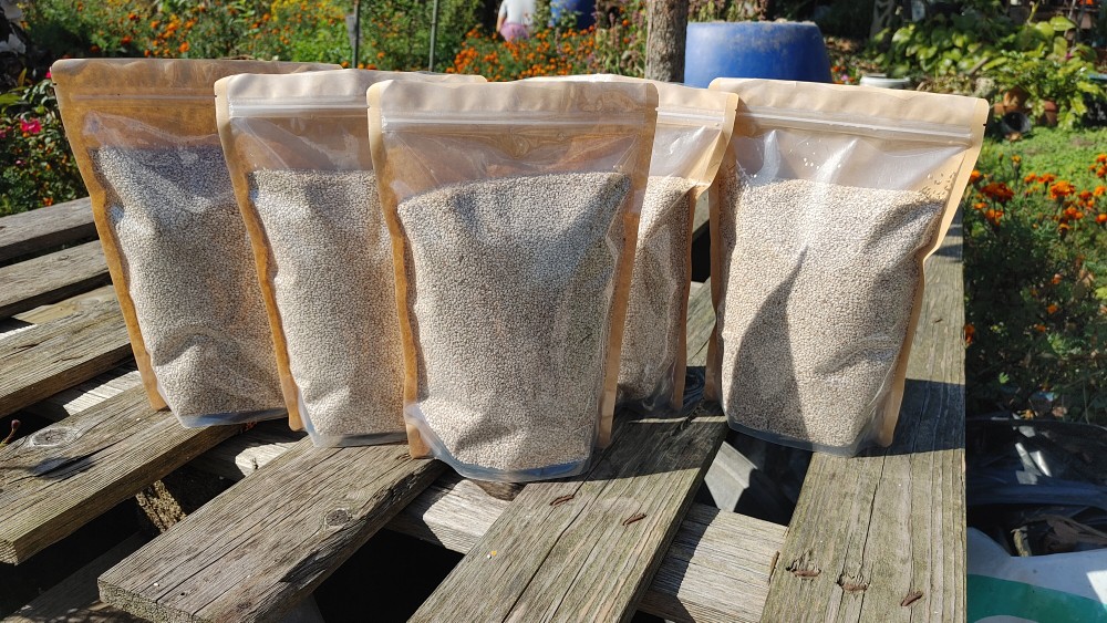 국내산 유기농 참깨 400g 800g - 상세 이미지 3